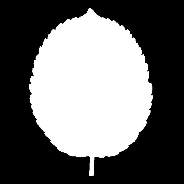 U-Net Leaf Mask